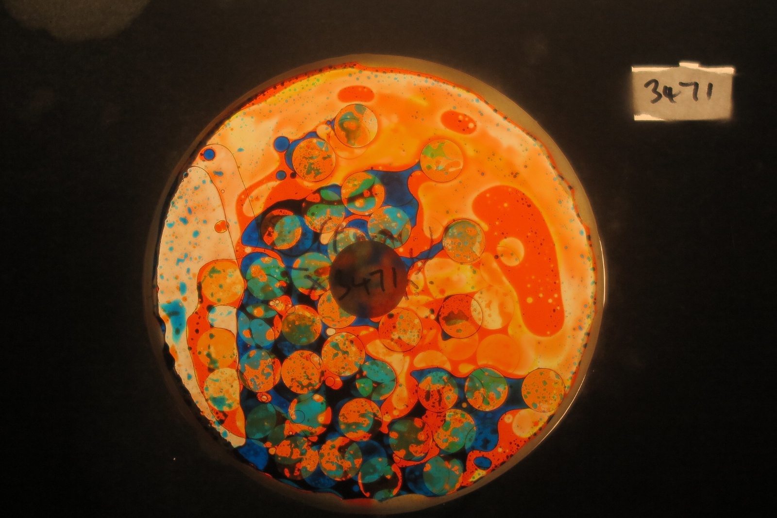 BV3471 bubble vision oil wheel